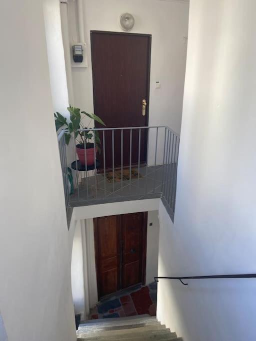 Apartment Somptueux T3 77m2 Centre Diamant Sur Equipe